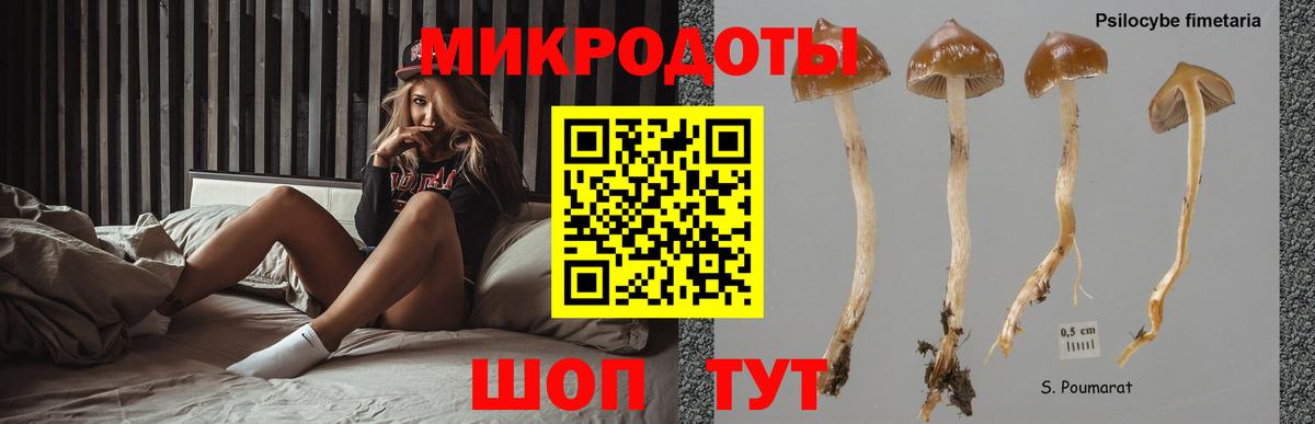 Галлюциногенные грибы Psilocybine cubensis Янаул